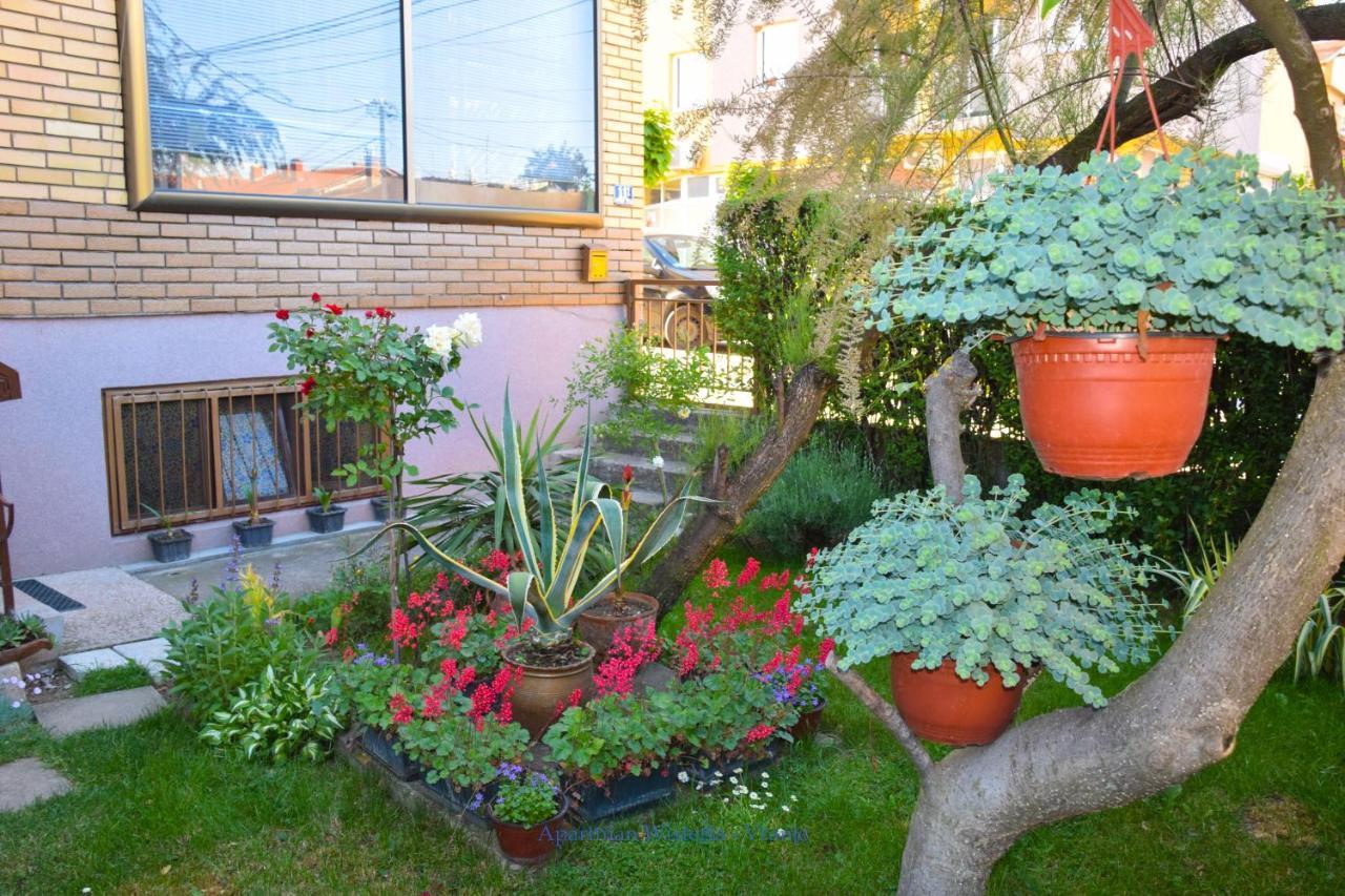 Apartman Wisteria Vranje Exterior photo